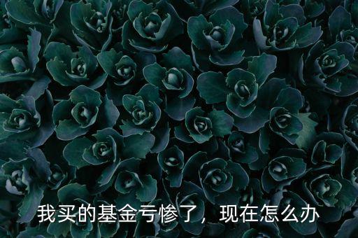 我買的基金虧慘了，現(xiàn)在怎么辦