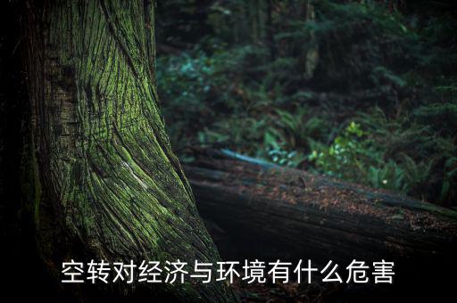 什么叫金融空轉,空轉對經濟與環(huán)境有什么危害