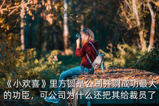 《小歡喜》里方圓是公司并購成功最大的功臣，可公司為什么還把其給裁員了