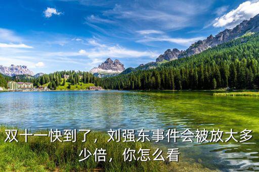 雙十一劉強(qiáng)東賺了多少錢(qián),雙十一快到了
