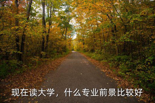 現(xiàn)在讀大學(xué)，什么專業(yè)前景比較好
