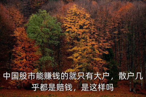 中國股市能賺錢的就只有大戶，散戶幾乎都是賠錢，是這樣嗎