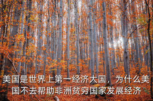 美國(guó)是世界上第一經(jīng)濟(jì)大國(guó)，為什么美國(guó)不去幫助非洲貧窮國(guó)家發(fā)展經(jīng)濟(jì)