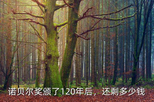 諾貝爾獎頒了120年后，還剩多少錢