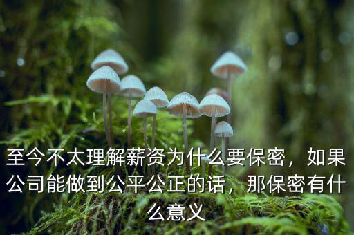至今不太理解薪資為什么要保密，如果公司能做到公平公正的話，那保密有什么意義