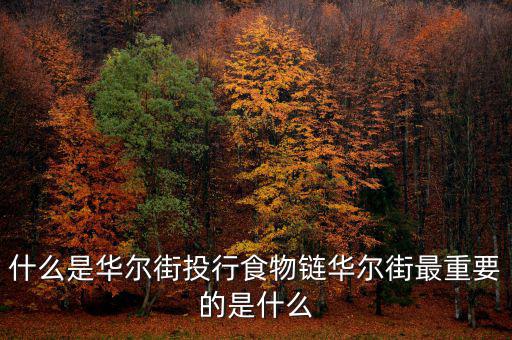 在華爾街工作是什么意思,在美國硅谷或者華爾街工作