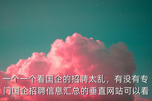 一個(gè)一個(gè)看國(guó)企的招聘太亂，有沒有專門國(guó)企招聘信息匯總的垂直網(wǎng)站可以看