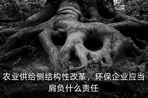供給側改革企業(yè)怎么做,農業(yè)供給側結構性改革