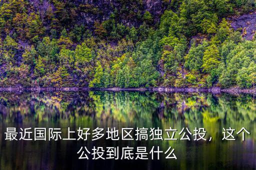最近國際上好多地區(qū)搞獨立公投，這個公投到底是什么