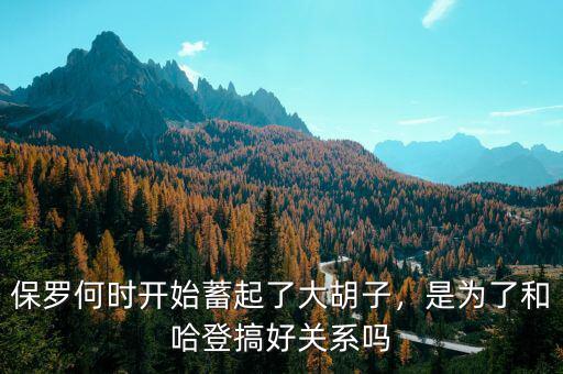 保羅何時(shí)開始蓄起了大胡子，是為了和哈登搞好關(guān)系嗎