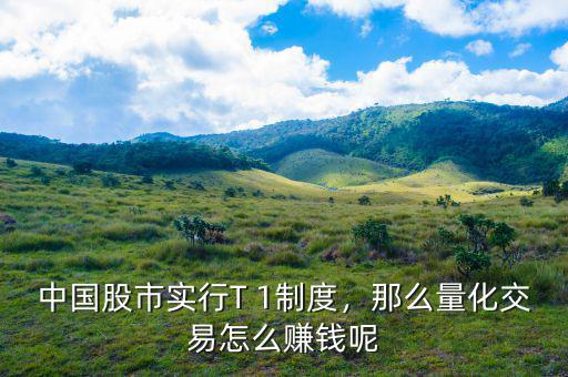中國(guó)股市實(shí)行T 1制度，那么量化交易怎么賺錢呢