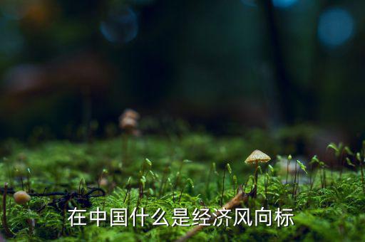 在中國什么是經(jīng)濟風向標