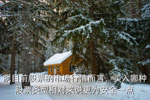 就目前股票的市場行情而言，買入哪種股票類型相對來說更為安全一點