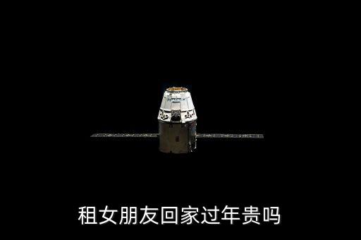 租女朋友回家過(guò)年貴嗎