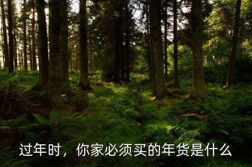 過年時(shí)，你家必須買的年貨是什么