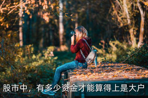 股市中，有多少資金才能算得上是大戶