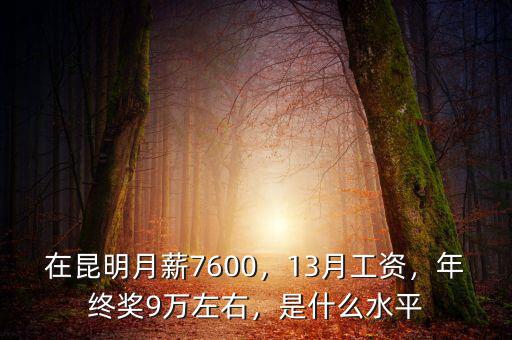 在昆明月薪7600，13月工資，年終獎9萬左右，是什么水平