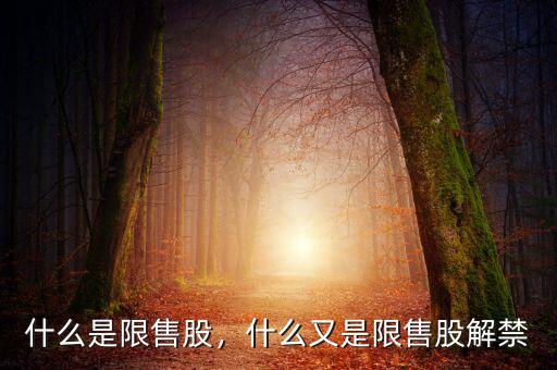 什么是限售股解禁,什么又是限售股解禁