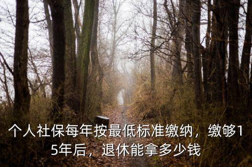 個人社保每年按最低標準繳納，繳夠15年后，退休能拿多少錢