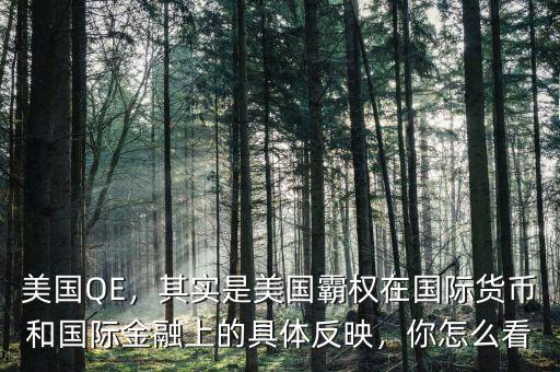 美國QE，其實是美國霸權(quán)在國際貨幣和國際金融上的具體反映，你怎么看