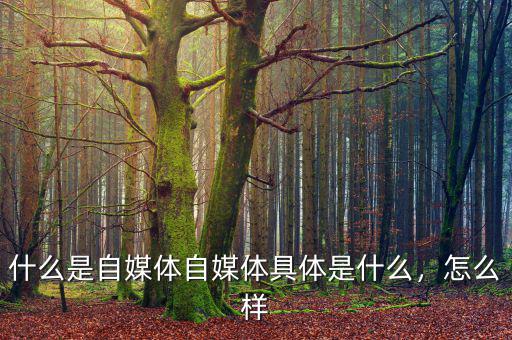 什么是自媒體自媒體具體是什么，怎么樣