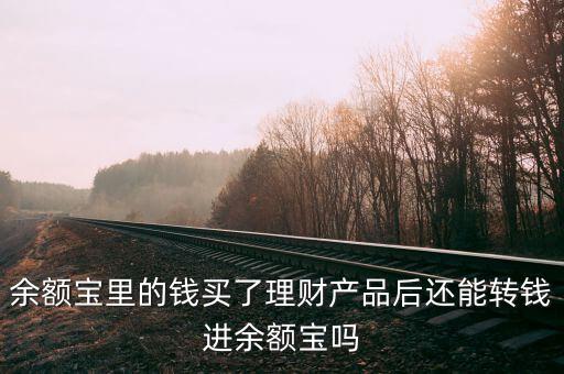 理財產品怎么進駐余額寶,如何購買余額寶的定期產品