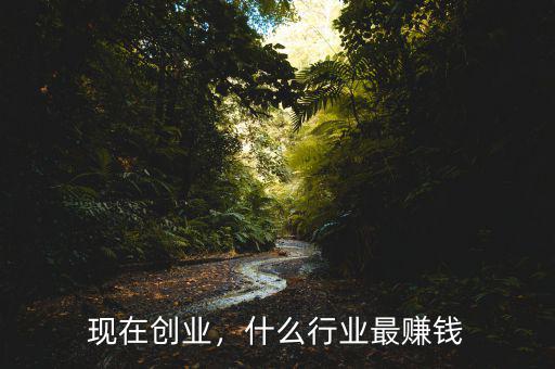 現(xiàn)在創(chuàng)業(yè)，什么行業(yè)最賺錢