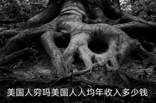 美國人窮嗎美國人人均年收入多少錢