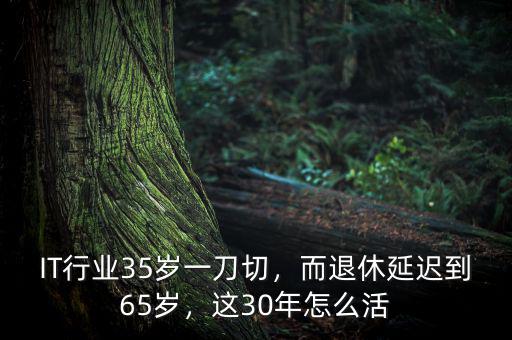 IT行業(yè)35歲一刀切，而退休延遲到65歲，這30年怎么活