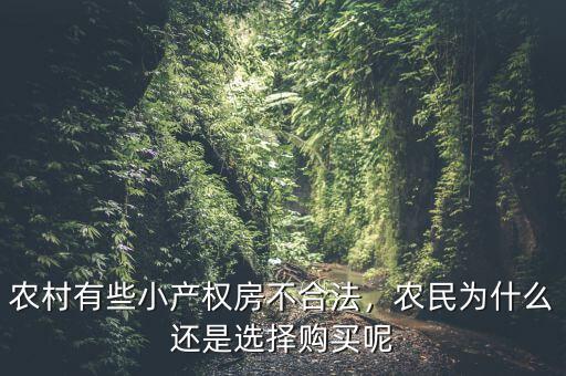 為什么小產(chǎn)權(quán)房不合法,農(nóng)民為什么還是選擇購(gòu)買(mǎi)呢