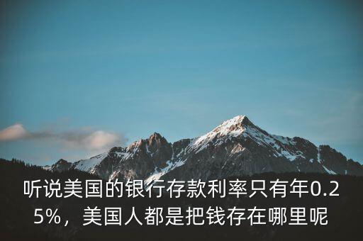 聽說美國的銀行存款利率只有年0.25%，美國人都是把錢存在哪里呢