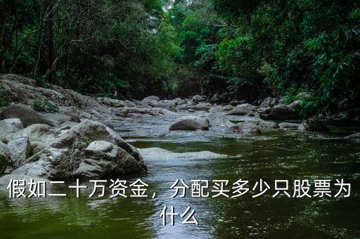 假如二十萬資金，分配買多少只股票為什么