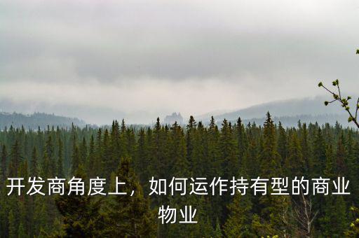 開(kāi)發(fā)商角度上，如何運(yùn)作持有型的商業(yè)物業(yè)