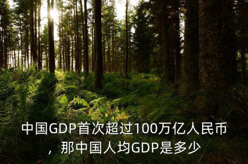 中國GDP首次超過100萬億人民幣，那中國人均GDP是多少
