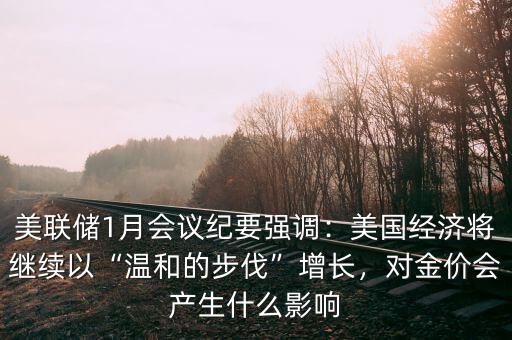 美聯(lián)儲1月會議紀(jì)要強(qiáng)調(diào)：美國經(jīng)濟(jì)將繼續(xù)以“溫和的步伐”增長，對金價會產(chǎn)生什么影響