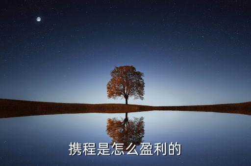 攜程是怎么掙錢(qián)的,攜程是怎么盈利的