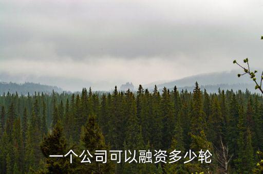 慈銘體檢第一輪融資讓出了多少股份,一個公司可以融資多少輪