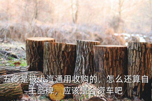 五菱是被上汽通用收購的，怎么還算自主品牌，應(yīng)該是合資車吧