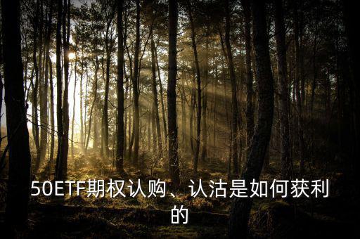 50ETF期權(quán)認(rèn)購、認(rèn)沽是如何獲利的