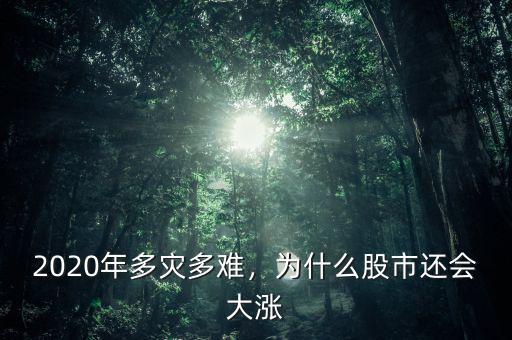 2020年多災多難，為什么股市還會大漲