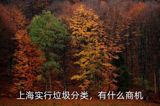 上海實(shí)行垃圾分類，有什么商機(jī)