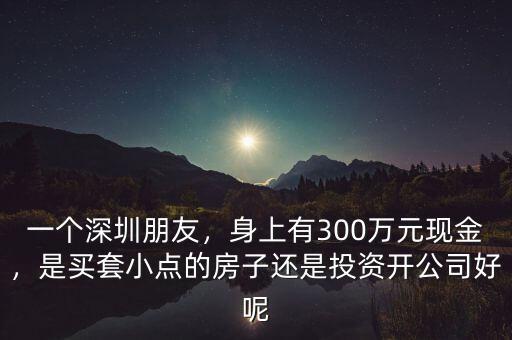 一個深圳朋友，身上有300萬元現(xiàn)金，是買套小點的房子還是投資開公司好呢