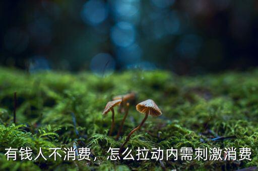 美國富人怎么消費,怎么拉動內(nèi)需刺激消費