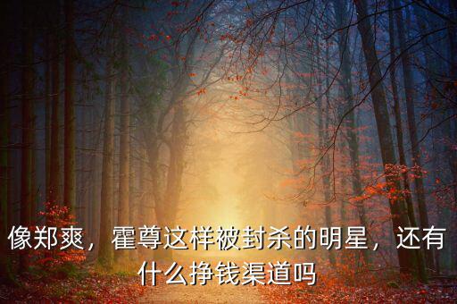 像鄭爽，霍尊這樣被封殺的明星，還有什么掙錢渠道嗎