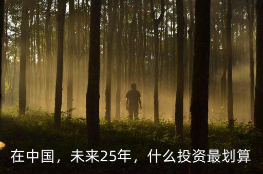 在中國(guó)還可以投資什么,請(qǐng)問(wèn)今年在還能在哪里投資