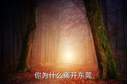 為什么香港人撤離東莞,你為什么離開(kāi)東莞