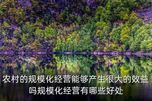 農(nóng)村的規(guī)?；?jīng)營能夠產(chǎn)生很大的效益嗎規(guī)?；?jīng)營有哪些好處