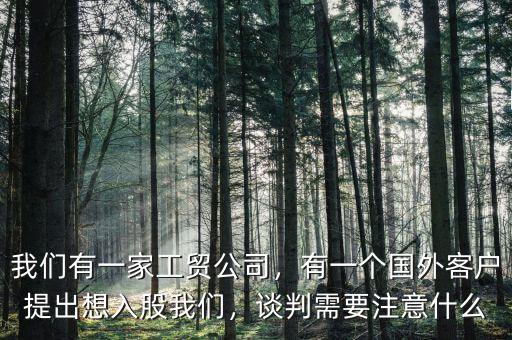 我們有一家工貿(mào)公司，有一個國外客戶提出想入股我們，談判需要注意什么