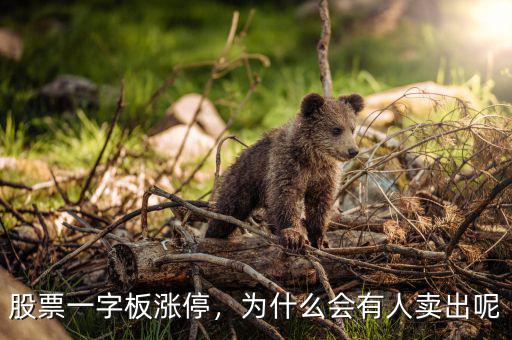 股票一字板漲停，為什么會(huì)有人賣(mài)出呢