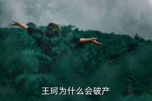 王珂為什么會破產(chǎn)